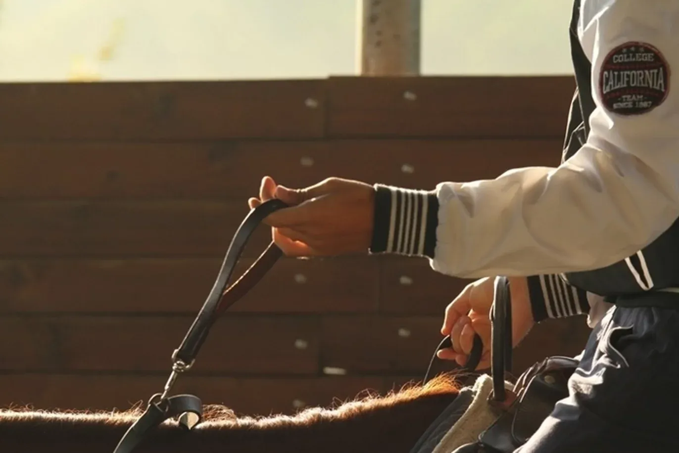 Mani che tengono le redini di un cavallo, in controluce