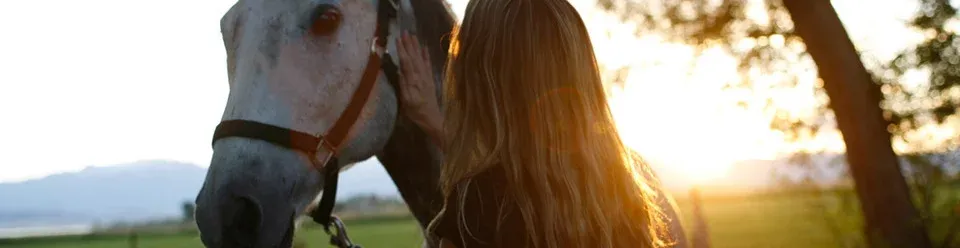 Una ragazza di spalle accarezza il muso di un cavallo al tramonto