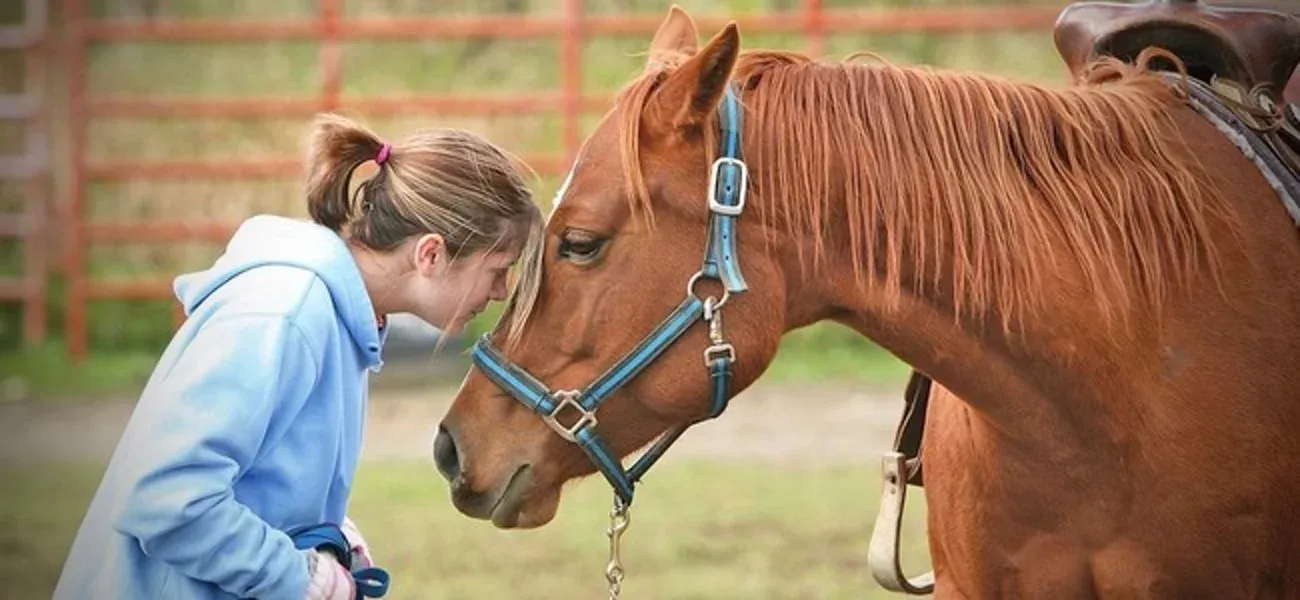 Una ragazza appoggia la fronte sul muso di un cavallo sauro